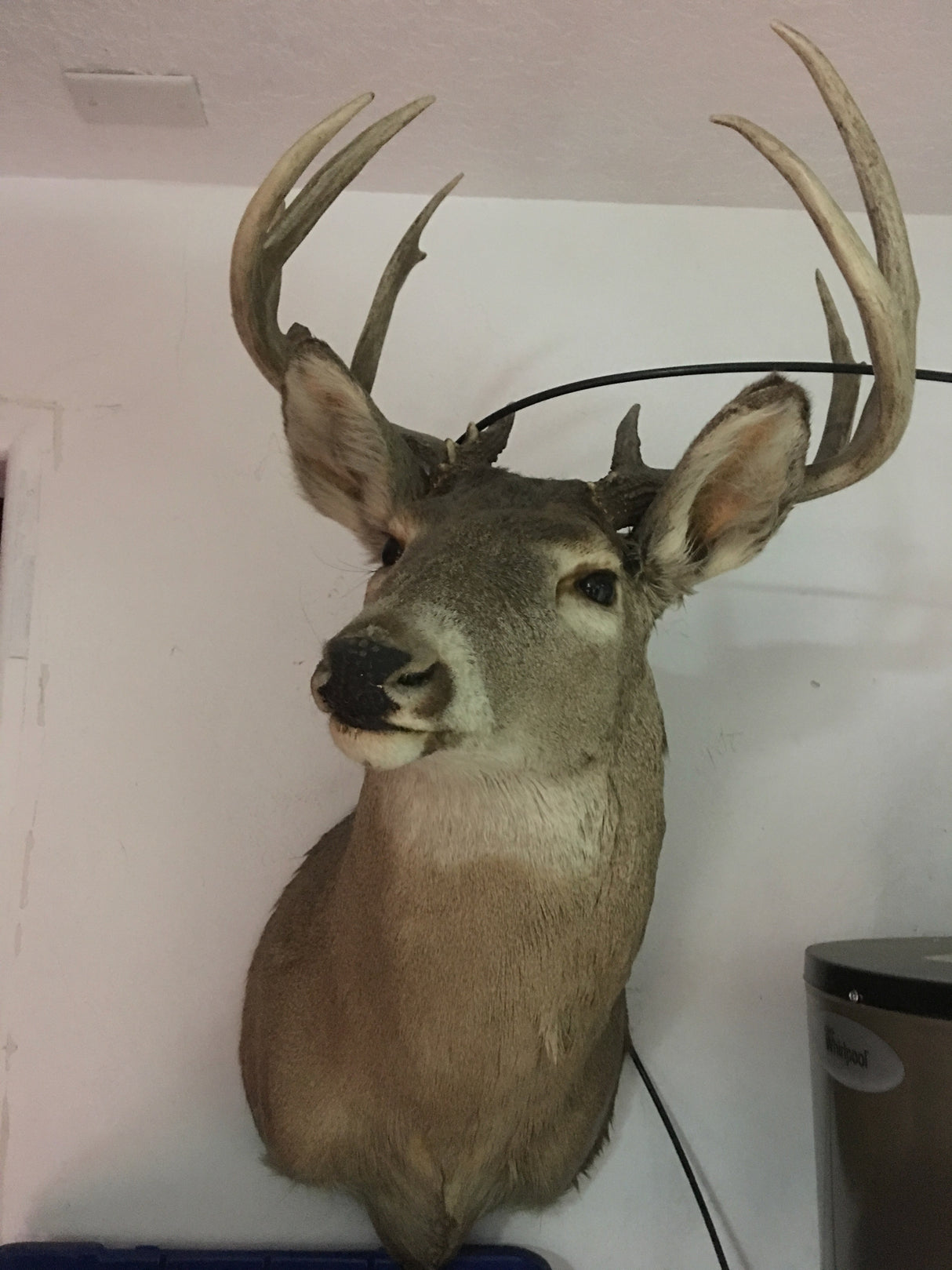 Big Buck Hunter Limited Edition Topper