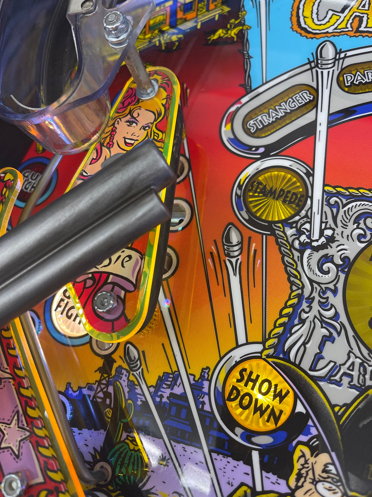 Cactus Canyon Pinball Plastic Protector Set