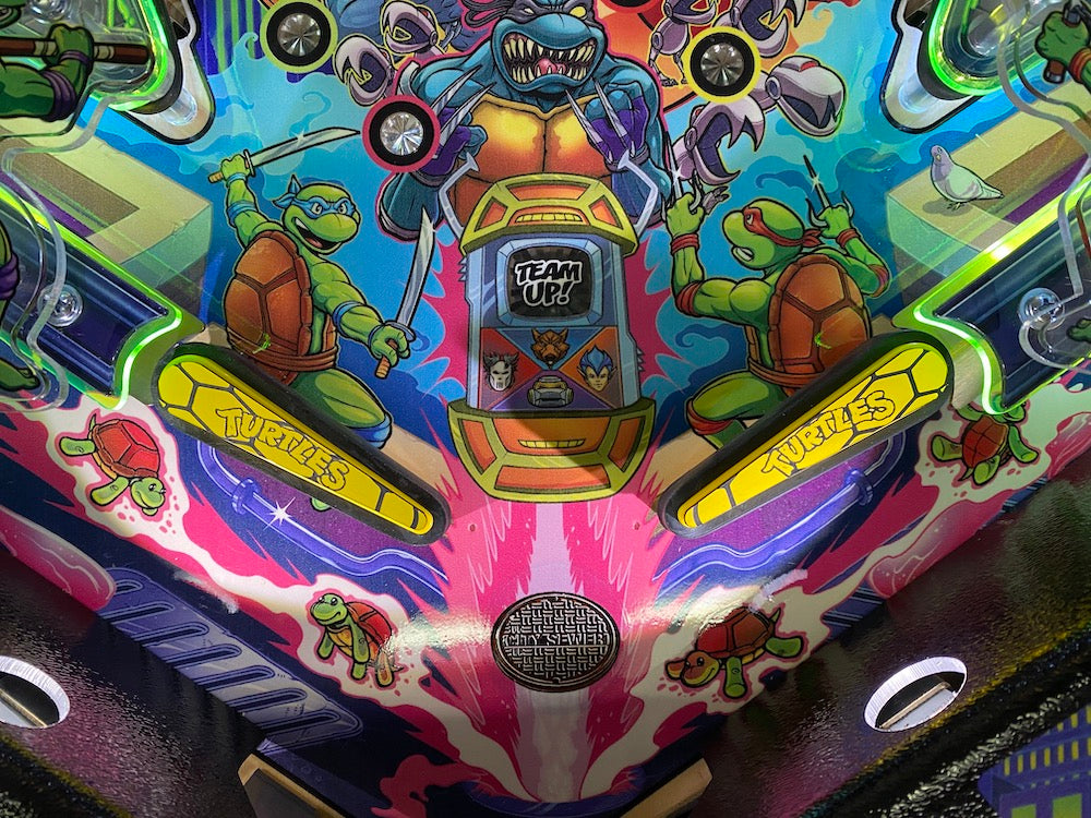 Teenage Mutant Ninja Turtles Flipper Toppers