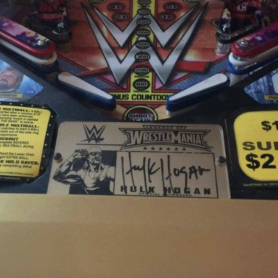 Wrestlemania LE Pinball Autograph Protector - Mezel Mods
