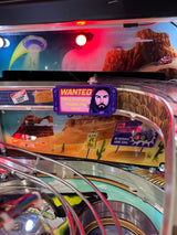 Foo Fighters Pinball Wanted Sign