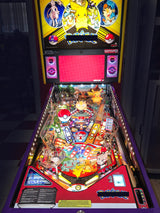 Pokémon Pinball Sign Cover