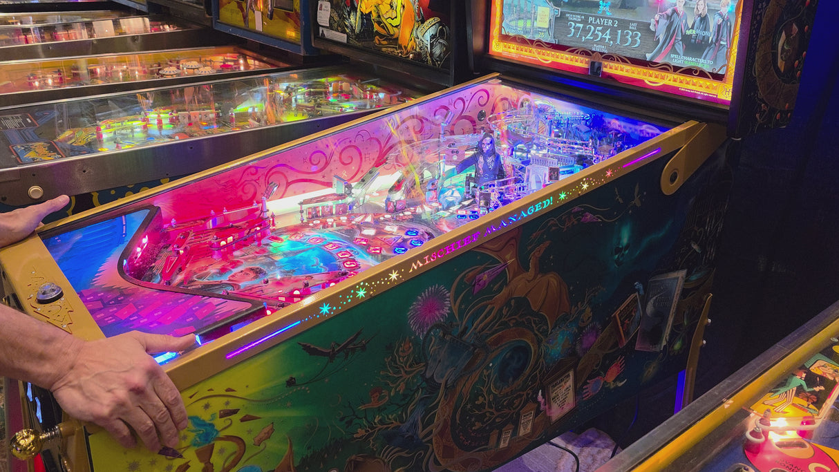 Elton John PInball Lighted Rails- Collectors Edition