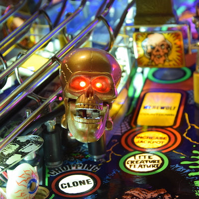 Tales from the Crypt Pinball Skull Mod