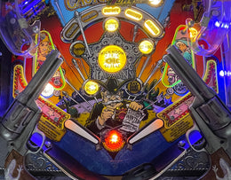 Cactus Canyon Pinball Plastic Protector Set